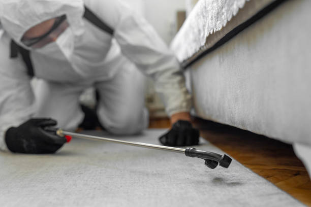 Professional Bed Bug Control technician working in Lowell, OR